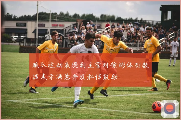 狼队运动表现副主管对徐彬体测数据表示满意并发私信鼓励